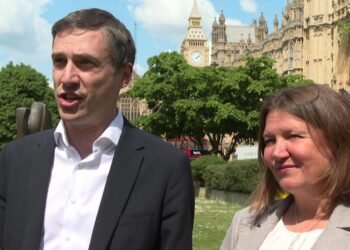 Green Party Faces Leadership Divide Over Direction and Strategy