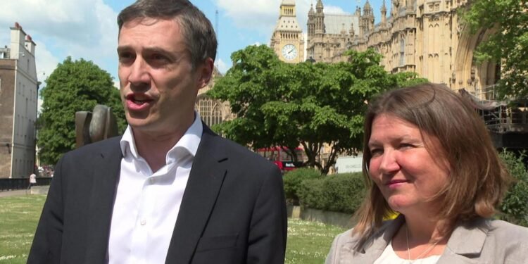 Green Party Faces Leadership Divide Over Direction and Strategy