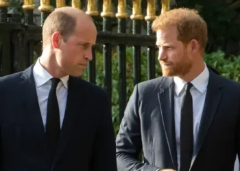 Close Friend of Princes William and Harry Faces Delicate Godparent Decision
