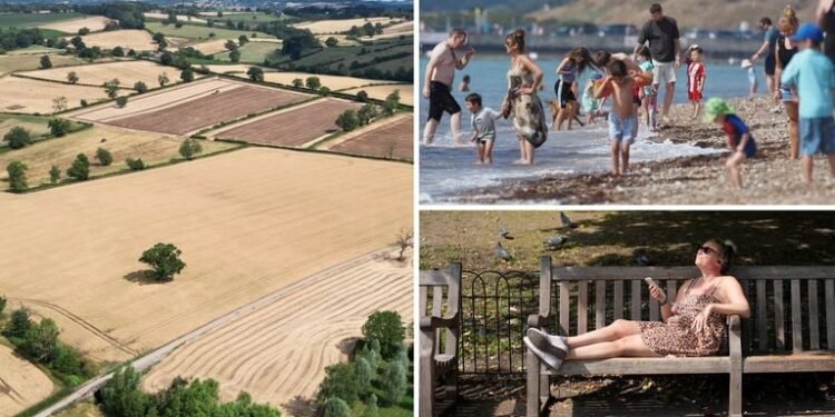 England Faces “Nationally Significant” Water Shortfall as Fourth Heatwave of 2025 Strikes