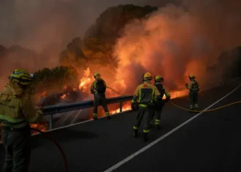 Europe Swelters Under Historic Heatwave as Wildfires Rage Across the Continent