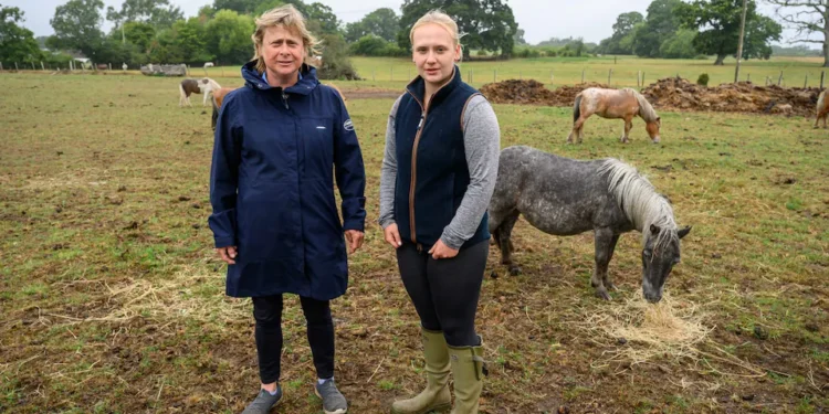 Heartbreak in the New Forest as Shetland Ponies Vanish, Community on Edge