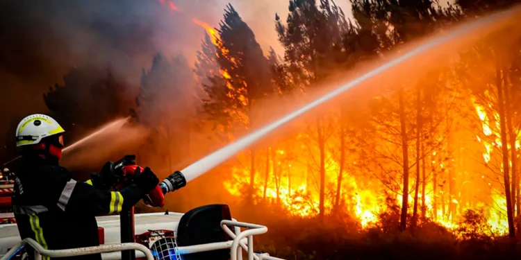 One Dead and Hundreds Evacuated as Wildfires Ravage France and Spain Amid Southern Europe Heatwave