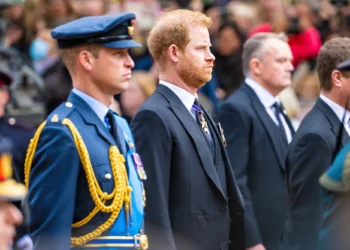 Royal Family Turmoil: Prince Harry’s Moves, Palace Reactions and the Future of the Monarchy