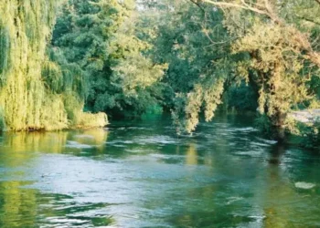 Southern Water's Bid to Draw from Rare River Test Sparks Outcry from Conservationists and Campaigners