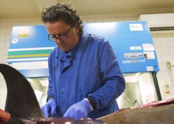 Unseen Killers of the Deep Inside the UK Lab Uncovering the Silent Deaths of Sea Creatures