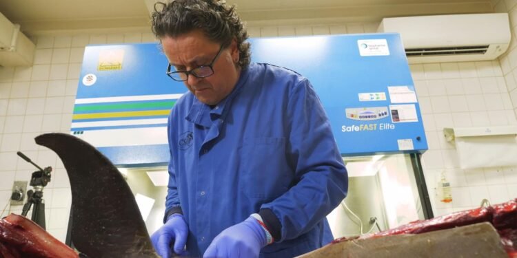 Unseen Killers of the Deep Inside the UK Lab Uncovering the Silent Deaths of Sea Creatures