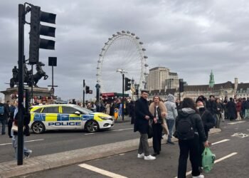 Westminster Bridge Shut Amid Police Response to Mental Health Incident