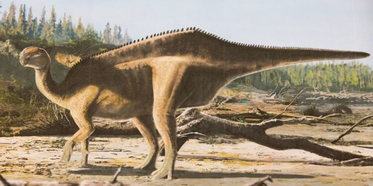 New Dinosaur Species Honours Record-Breaking Yachtswoman Dame Ellen MacArthur