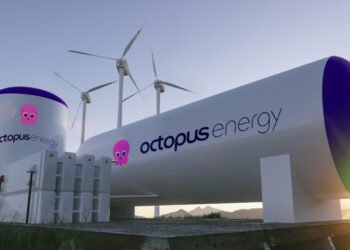 Octopus Energy Expands Support Ahead of Winter Price Cap Rise with Free Home Upgrades