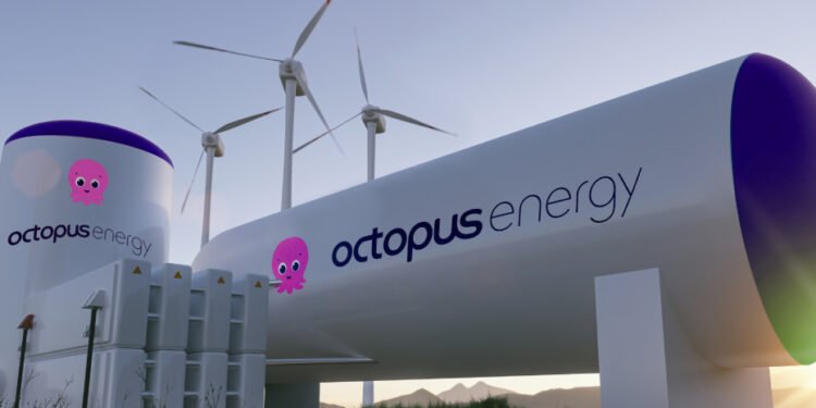 Octopus Energy Expands Support Ahead of Winter Price Cap Rise with Free Home Upgrades