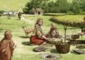 Ancient Meat Feasts Revealed as Bronze Age Britons Gathered Across the Country