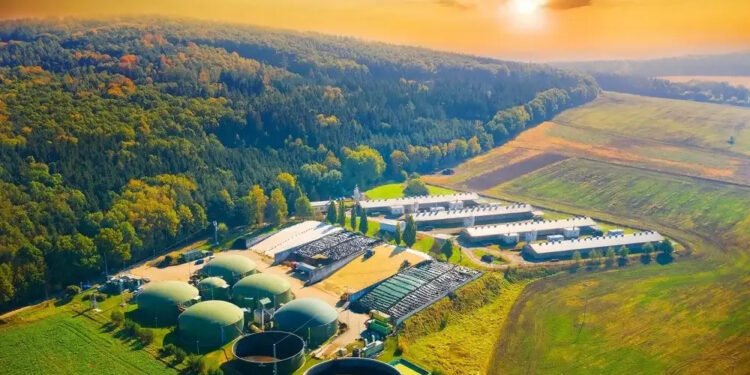 Biomethane Found Unfit for Large-Scale UK Home Heating as Study Highlights Limitations