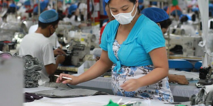 Labour Urged to Launch National Occupational Health Service to Tackle Worklessness