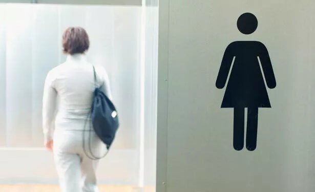 Scottish Government Mandates Single-Sex Toilets and Changing Facilities in Schools