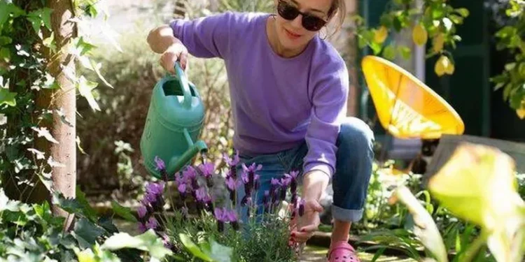 Gardeners Advised on Simple September Task to Prevent Flooding and Lawn Damage