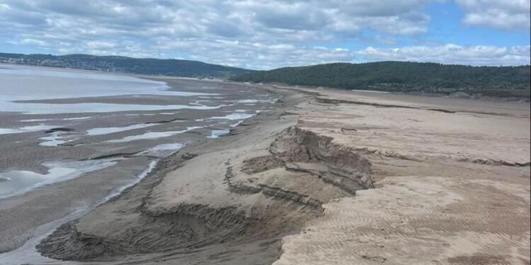Man Trapped in Quicksand Rescued in Dramatic Coastal Rescue