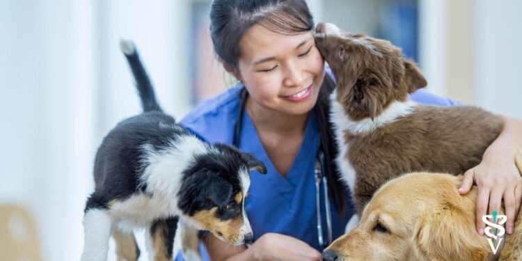 UK Vets May Be Forced to Publish Prices After CMA Probe