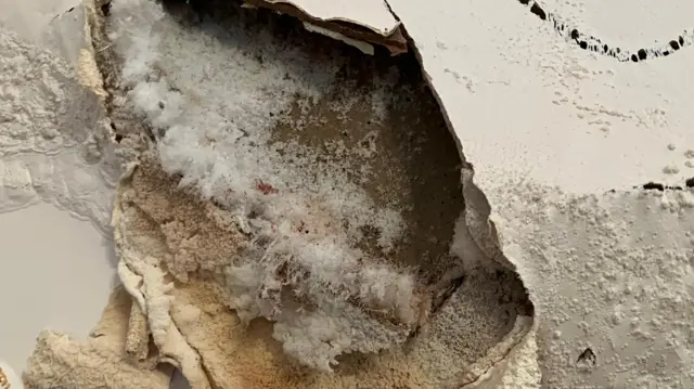 Tens of Thousands of UK Homes Require Urgent Repairs After Government Insulation Blunder