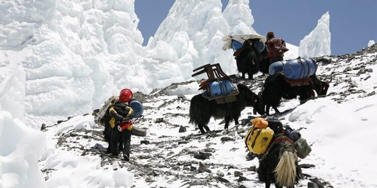 Everest Blizzard Chaos: Hundreds Stranded as Rescuers Battle Deadly Snowstorm