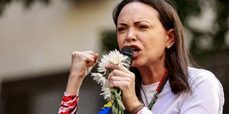 Nobel Peace Prize Officials Probe Suspicious Online Bets