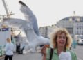Shouting Works Best to Deter Gulls, UK Study Finds