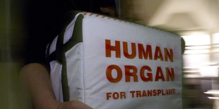 New AI tool could cut wasted efforts in organ transplants