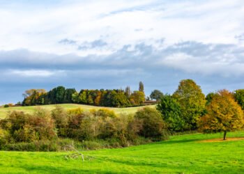 UK Plans ‘Forest Towns’ Between Oxford and Cambridge
