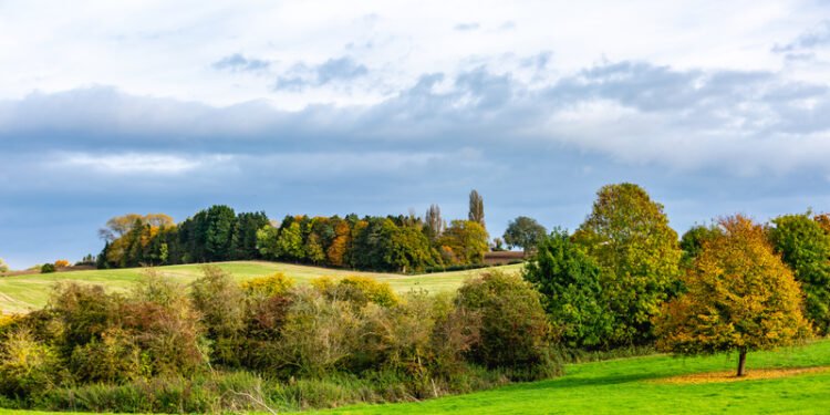 UK Plans ‘Forest Towns’ Between Oxford and Cambridge
