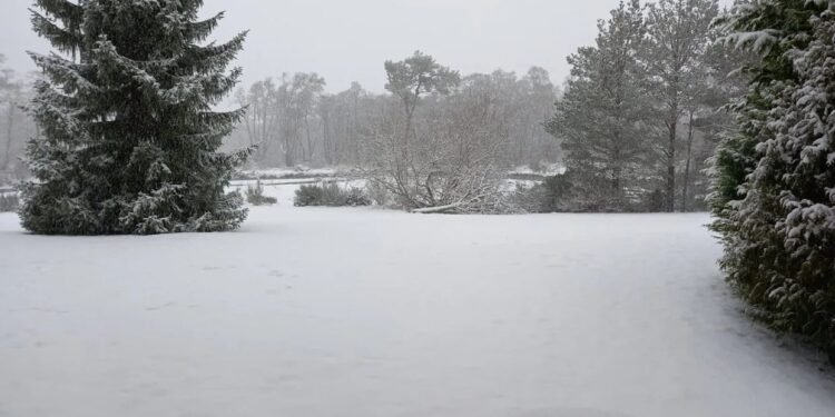 Scotland Braces for Snow and Ice as Travel Warnings Issued