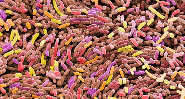 UK launches major AI drive to fight deadly superbugs