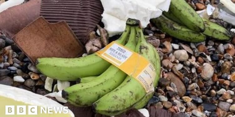 Ship’s Banana Cargo Washes Ashore, UK Public Warned to Stay Clear