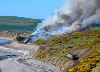 Norfolk coastal graves