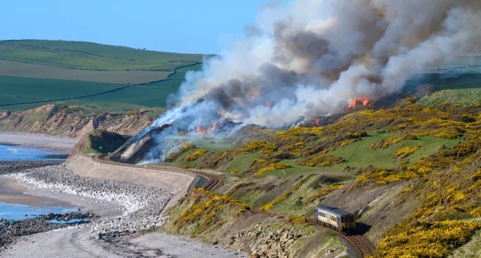 Norfolk coastal graves