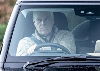 Files Link Andrew to Epstein Dinner After Prison Release