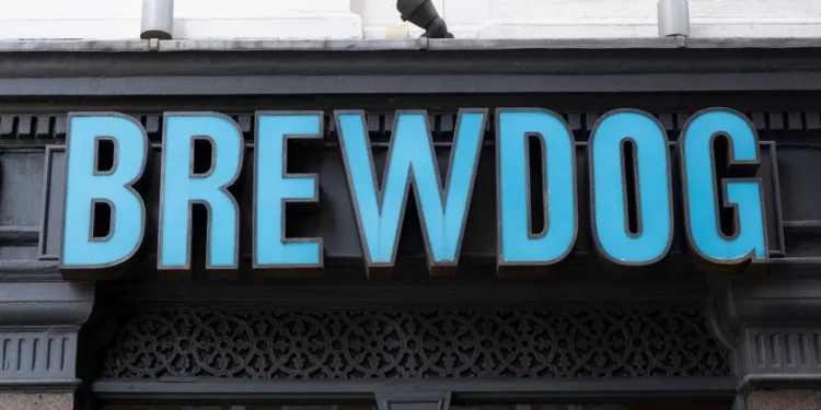 BrewDog put up for sale