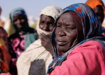 Chad shuts border with Sudan