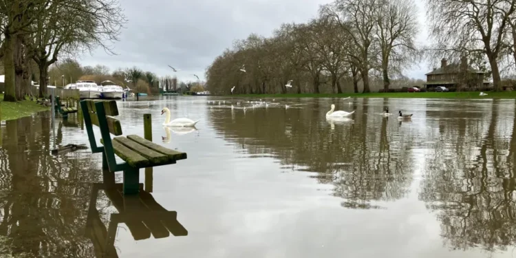 Dozens of flood warnings in England after days of non-stop rain