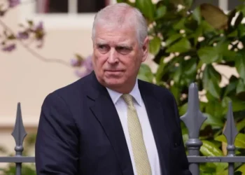 Epstein files tip of iceberg Andrew investigation