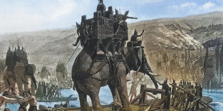 Hannibal war elephant Alps
