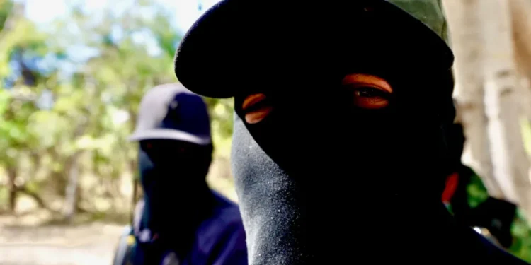 Mexican city war zone cartel feud