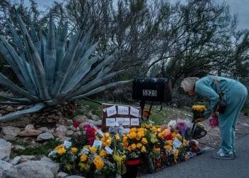 Nancy Guthrie abduction