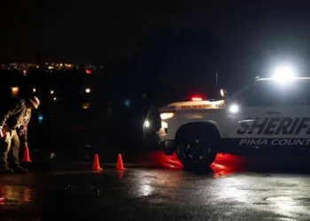 Nancy Guthrie police search