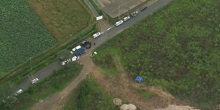 Sydney mistaken kidnapping grandfather