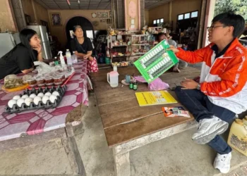 Thailand patronage system