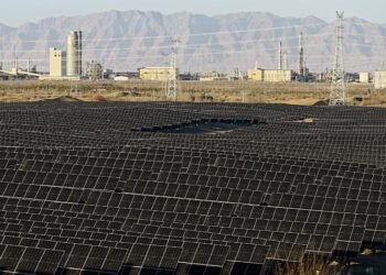 Trump retreats climate China green superpower