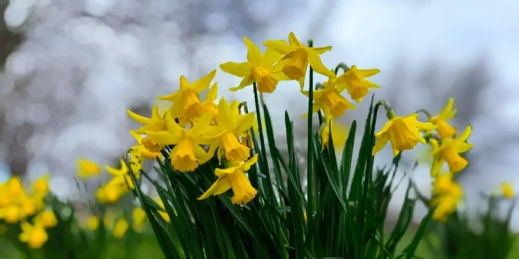 UK temperatures to climb to 14 C