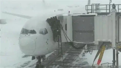 US East Coast flights cancelled record snow