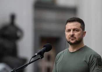 Ukraine peace efforts Zelensky fifth year