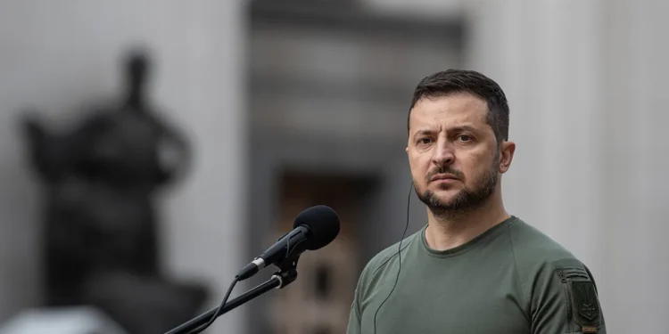 Ukraine peace efforts Zelensky fifth year